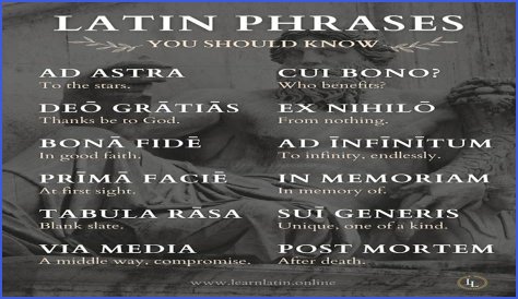 A Profile Of A Latin Beauty